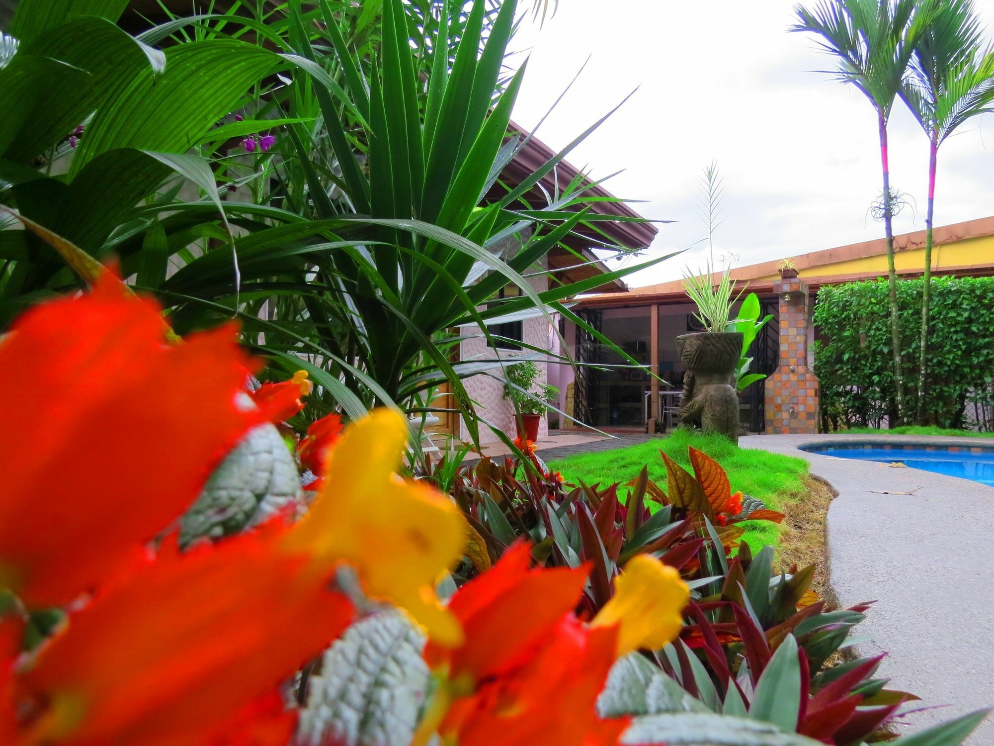 Hotel Vagabondo La Fortuna Exterior foto